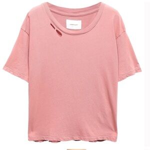 NWT Current Elliot Canyon Rose Top The Short CG Tee Destroyed Size 2